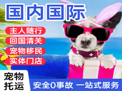 三义机场物流国际宠物托运 【国